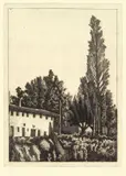 Giorgio Morandi, Paesaggio con grande pioppo, 1927, etching on rame