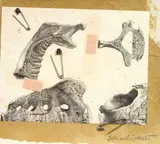 Daniel Spoerri, Spingole francesi
