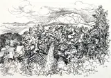 Paesaggio di Velate by Renato Guttuso, 1968, ink on paper, offered Dec 2012