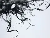 Mario Giacomelli, Dalla serie «Caroline Branson» da Spoon River