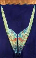 Silvio Merlino, Pinne, 1993, pittura and assemblaggio on canvas