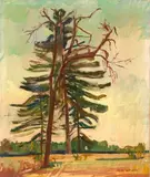 Alfiero Cappellini, Albero, oil on canvas