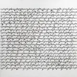 Cheope, Lettera continua orizzontale, 2009, acrylic on canvas
