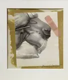 Daniel Spoerri, Spingole francesi, 1993, collage on paper
