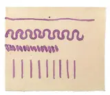 Giorgio Griffa, Serpentina violetta, 1981, acrylic on canvas