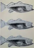 Andy Warhol, Fish, 1983, screenprint on paper da parati