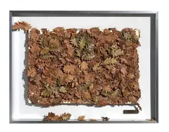 Nature morte. Mon refus de plagier la nature by Christian Tobas, 1972, mixed media on canvas, offered May 2012