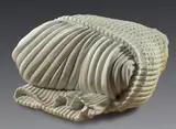 Antonio Trotta, Calzino, 2002, Scultura in marmo