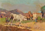 Carlo Domenici, Campagna con contadini