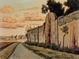 Gino Romiti, Campagna