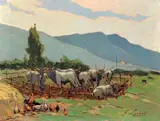 Giovanni Lomi, Maremma