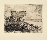 Giovanni Fattori, Un toro