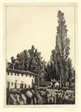 Giorgio Morandi, Paesaggio con il grande pioppo, 1927, etching