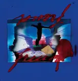 Vettor Pisani, Senza titolo, 2001, mixed media and collage on plexiglass