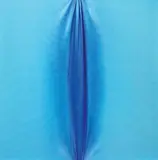 Jorrit Tornquist, Pieghe, 2006, acrylic on canvas