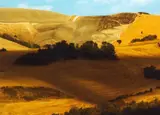 Pino Settanni, Senza titolo