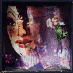 Giuseppe Desiato, Teatrino, mixed media and assemblaggio in teca di legno