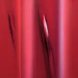 Ennio Finzi, Il verso del colore rosso