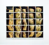 Maurizio Galimberti, Tophet - I leoni di Sulky