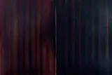 Ross Bleckner, Veiling and Forgetting