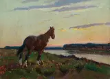 Giulio Cesare Vinzio, Cavallo