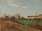 Giovanni Lomi, Periferia di Livorno