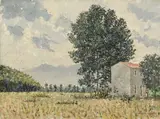 Giovanni Colacicchi, Campagna a lido di Camaiore