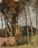 Ludovico Tommasi, La casa rosa