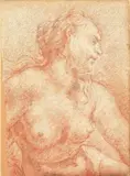 Giovanni Battista Tiepolo, Figura femminile