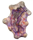 Dionisio by Bruno Ceccobelli, mixed media on canvas, offered Nov 2010