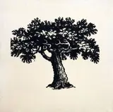 Mario Schifano, Senza titolo (Vero amore)