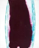 Senza titolo by Sam Francis, 1985, acrylic on canvas, offered Nov 2010