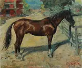 Paulo Ghiglia, Cavallo