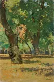 Carlo Passigli, Alle Cascine