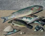 Gino Severini, Poissons et coquillages, 1931, oil on canvas