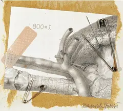Spingole Francesi by Daniel Spoerri, 1993, mixed media on card, offered May 2010