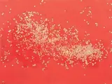 Coriandoli by Tano Festa, 1985, acrylic and coriandoli on canvas, offered May 2010
