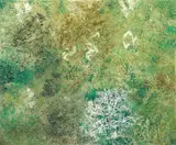 Luigi Carboni, Respirando, 1996, acrylic on canvas