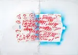 Alighiero Boetti, Senza titolo (Pesce spada), 1988, Pochoir