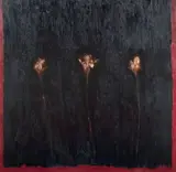 Omar Galliani, Campo silente