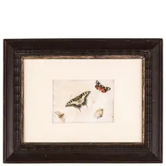 Miniatura con farfalle by Hermann Hestemburg, tempera on pergamena, offered Nov 2016