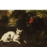 Bartolomeo Arbotori, Natura viva con gatto e tacchino, oil on canvas