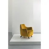 An Armchair By G. Ponti, Senza titolo