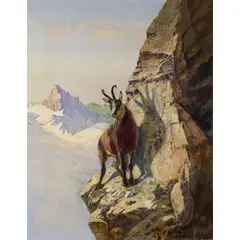 Albert Singer, Camoscio sulla roccia / Firmato 'A Singer' datato 1916 in basso a destra, oil on canvas