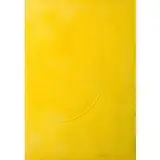 Turi Simeti, Alcamo 1929 / Segno giallo, 1970