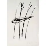 Giuseppe Penone, Garessio 1947 / Studio per soffio di foglie, 1979