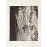 Giuseppe Penone, Garessio 1947 / Struttura del tempo, 1993