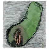 Mattia Moreni, Pavia 1920 - Brisighella 1999 / Anguria ferita, 1979