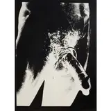 Andy Warhol, Pittsburg 1928 - New York 1987 / Torso, 1977, screenprint on cartoncino Lenox Museum