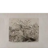 Antonio Ligabue, Zurigo 1899 - Gualtieri (Re) 1965 / Senza titolo, etching on paper